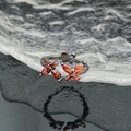 Macro shot of twin butterfly zircon ring with red marquise stones and gun black metal - Red Orange Butterfly Black Ring (JZ4029)