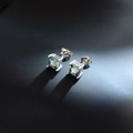 Elegante silberne quadratische Zirkonia-Ohrstecker mit schimmernden Edelsteinen - 5mm (EH0304)