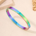 Regenboog roestvrijstalen armband met scharnier en levendige vacuümgecoate afwerking - 6mm / Kleurrijk