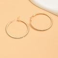 Elegant gold-tone hoop earrings for women featuring sparkling micro-pave crystals - Gold (Size 6)