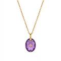 Macro-opname van ovale paarse steen ketting met gouden poolster hanger detail - Februari - Goud