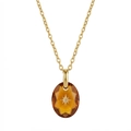 Detailopname van gouden ketting met ovale barnsteen kristallen hanger en poolster detail - November - Goud