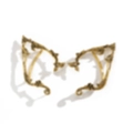 Gothic rose elf ear cuff in vintage gold finish with detailed vine engraving - Antique Gold (B3343)
