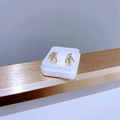Makro-Detail von goldenen Blumen-Ohrsteckern mit Zirkonia-Steinen in einer Geschenkbox - Goldene Blätter