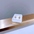 Detailansicht goldener Stern-Ohrstecker mit weißen Zirkonia in einer weißen Geschenkbox - Gold Kleine Blume