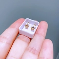 Nahaufnahme minimalistischer goldener Stern-Ohrstecker in weißer Box in der Hand - Stern