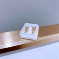 Detailansicht der goldenen Schmetterlingsohrringe mit bunten Zirkonia und Mikro-Inlay - Gold AB Zirkon Schmetterling