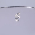 Detailaufnahme von silbernen Blumen-Ohrsteckern mit Zirkonia und Schraubverschluss - Silber Kleiner Blumen Stil