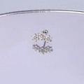 Funkelnder Zirkon-Blumen-Knorpelstecker aus Edelstahl mit Schraubverschluss hinten - Silber Blumenreihe Stil