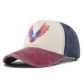Macro detail of the vintage eagle print and distressed brim on this baseball cap - Adjustable / Burgundy