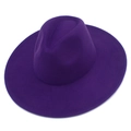 Detailed view of dark purple wool felt fedora with a structured wide brim and classic crown - Purple