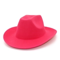 Detailed macro view of the hot pink fedora hat with smooth wool felt fabric texture - Rose Red