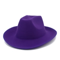 Macro view of dark purple felt fedora hat showing textured wool surface and curved wide brim - Purple