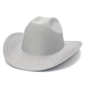 Macro detail of the shiny silver glitter texture on this western cowboy party hat - Silver