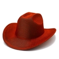 Macro shot of metallic red western cowboy hat with glossy finish and curved brim - Burgundy