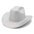 Macro della texture intrecciata metallica e del rivestimento argento del cappello da cowboy - Argento