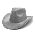 Detail of western cowboy hat with silver-black stripes and metallic luster finish - Gray