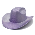 Macro shot of disco cowboy hat featuring purple surface and reflective silver horizontal stripes - Purple