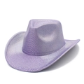 Detail of purple and silver striped cowboy hat with a shimmering metallic texture - Purple