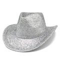 Macro shot showing high-density silver sequins and metallic texture on the cowboy hat - Silver