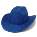Detail of blue western cowboy hat showing premium woven texture and stylish curved brim - Dark Blue Woven Texture (1#)