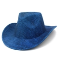 Detailed side view of deep blue western cowboy hat with classic curved brim and fabric texture - One Size / Denim Blue Texture (3#)