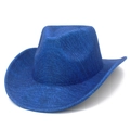 Detail of dark blue western cowboy hat showing brushed wool texture and curved brim style - One Size / Dark Blue (1#)