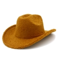 Detail of warm ginger yellow fleece texture and wide curved brim on western cowboy hat - One Size / Brown
