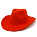 Detailansicht eines roten Westernhuts aus Teddy-Fleece mit weicher Textur und breiter Krempe - Einheitsgröße / Rot