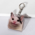 Beluga Cat Acryl-Schlüsselanhänger mit silbernem Karabiner auf weißem Grund - Süße Glückskatze