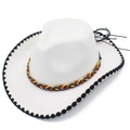 Detail of multi-color woven band and black scalloped edge on white felt cowboy hat - One Size / White