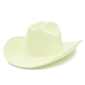 Detail of light beige woven texture and wide curved brim on this western cowboy hat - One Size / White