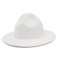 Élégant chapeau fedora blanc en feutre à bord large pour scène et mode urbaine chic - Blanc