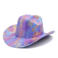 Close-up of metallic rainbow snake skin texture on wide brim cowboy hat with curved edge - Holographic Purple Blue