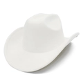 Detail of white suede cowboy hat featuring fine stitching on a wide rolled brim - White