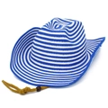 Blauw-wit gestreepte strooien cowboyhoed met verstelbare kinband en een gebogen rand - Eén maat / Blauw