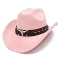 Detail view of pink suede jazz hat with bull head emblem and vintage gold studs - One Size / Pink
