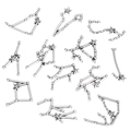 Set of 12 silver-finish alloy zodiac constellation charms for DIY jewelry making - Full Zodiac Constellation Set / Silver