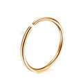 Gepolijste roségouden titanium stalen ronde neusring voor neus of oorpiercing - Stijl D-Rozegoud