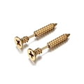 Unique gold-finished stainless steel screw-shaped stud earrings with threaded detail - Industrial Screw Stud / Gold