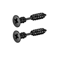Zwei schwarze Edelstahl-Ohrstecker in Schraubenkopf-Optik mit realistischen Kreuzschlitz-Details - Schraubenform (Stil Q)