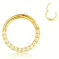Vista dettagliata dell'anello in acciaio dorato con micro-pavé di zirconi cubici - 1.2x8mm / Stile Pave Oro (HDGTS0189E-8)
