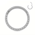 Silver 316L stainless steel hinged segment ring with paved zircon for nose or ear - Small / Style A Steel