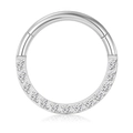 Silver 316L stainless steel hinged nose ring with 15 inlaid sparkling zircon stones - Small / Style B-Steel Color