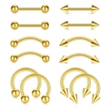 Set of 12 gold stainless steel body piercing jewelry including circular and curved barbells - Combination And Assortment / 1.2x6x3mm / Gold