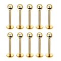10er Set goldene Labret-Stecker aus Edelstahl mit flacher Basis und Kugel für Piercings - Modell F Kugel Labret Stecker / 10 Stück/Packung (1.2x8x3mm) / Gold