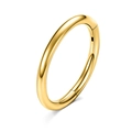 Polished golden 316L stainless steel hinged segment ring with zircon inlay for nose and ear - Small / Style A-Gold