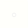 Minimalist silver piercing hoop for nose ear or lip shown in a clean studio detail view - Small / Single Piece / Fine Style / Clear