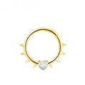 Makro-Detail des goldenen Punk-Septum-Rings mit Herz-CZ-Stein und Stachel-Piercing-Design - Gold