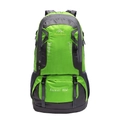 60L outdoor hiking backpack in bright green and dark grey professional camping pack - 60L / Green